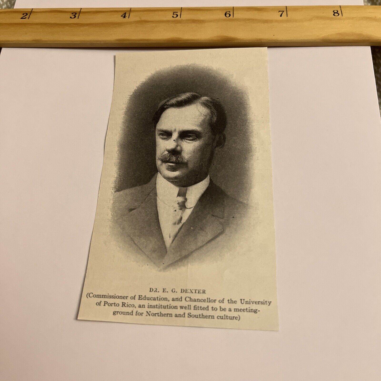 Antique 1912 Portrait: Dr E G Dexter, Chancellor of the University of Porto Rico