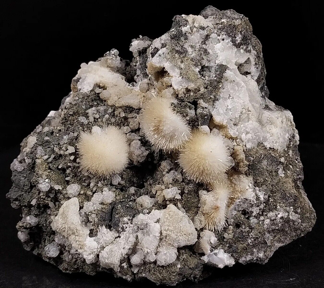 Natrolite Crystals on Vesicular Basalt Millington Quarry Bernards Twp NJ Mineral