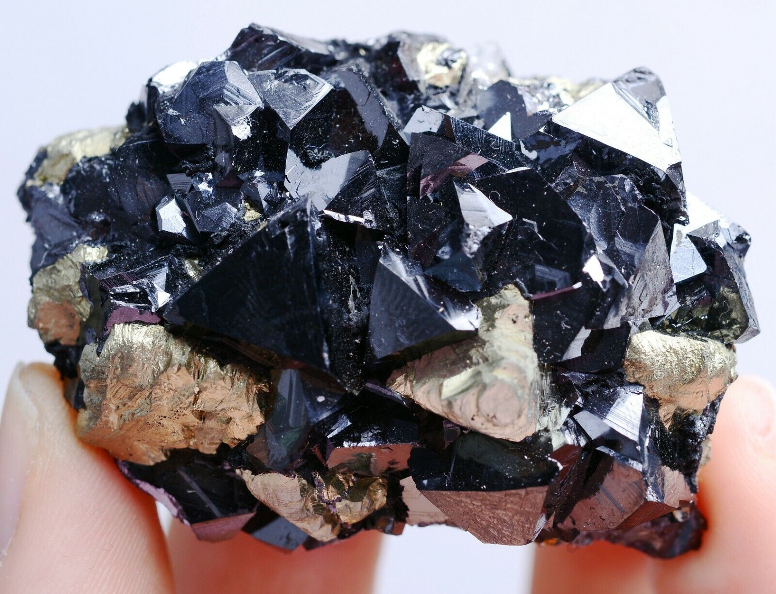 85g Natural Rare Black Marmatite & Pyrite Mineral Specimen/Inner Mongolia  China