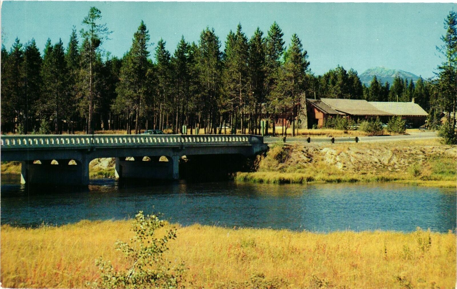 Vintage Postcard- Buffalo River, Island Park, ID