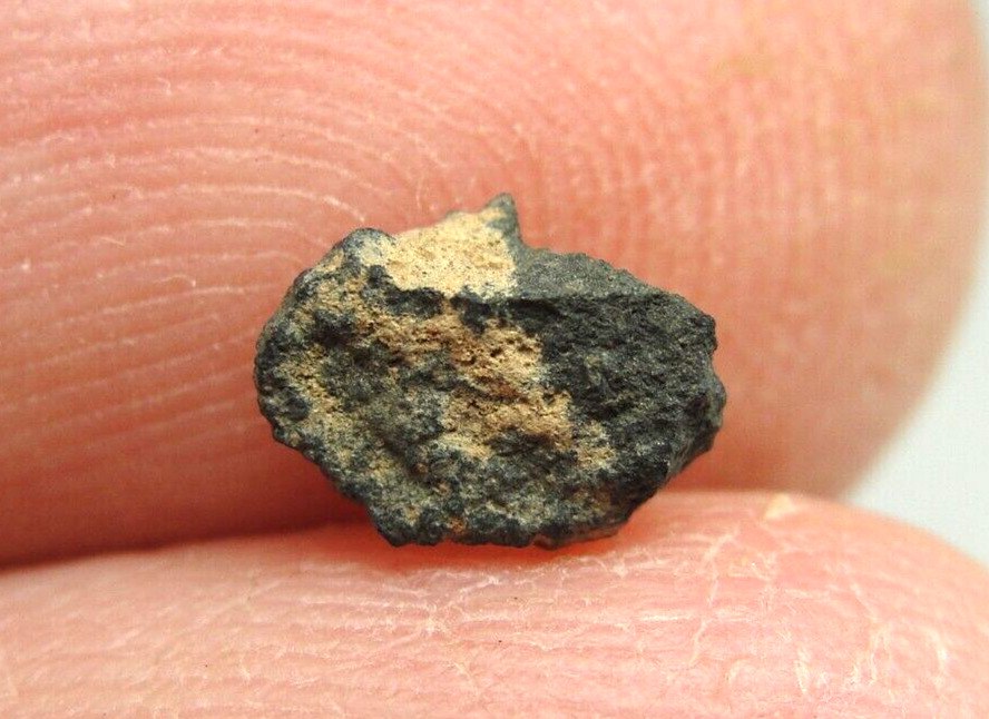 Jbilet Winselwan - CM2 Carbonaceous Chondrite - JIL-0041 - 0.11g COA - Very Rare