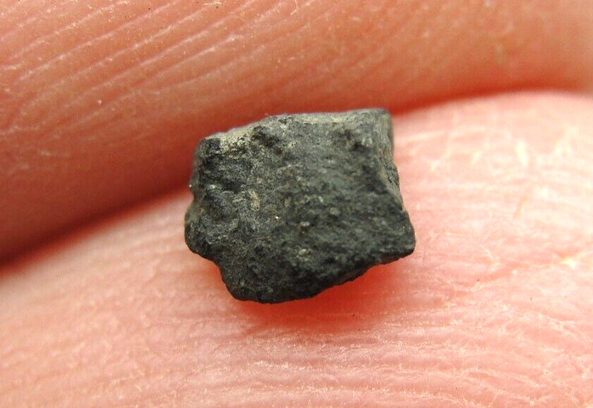 Jbilet Winselwan - CM2 Carbonaceous Chondrite - JIL-0042 - 0.06g COA - Very Rare