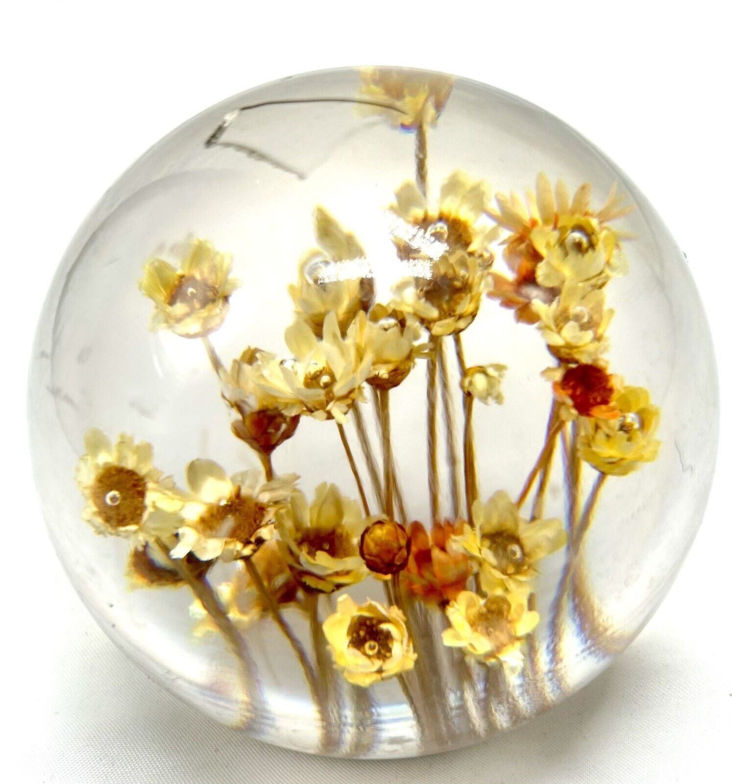 Vintage Lucite Acrylic Globe paperweight Dried Flowers 1960s 1970s MCM