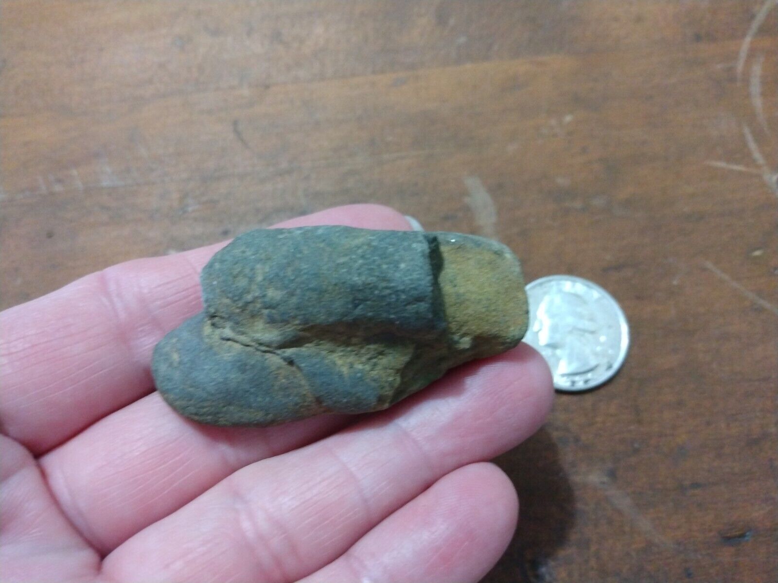 Small Unknown Fossil Black