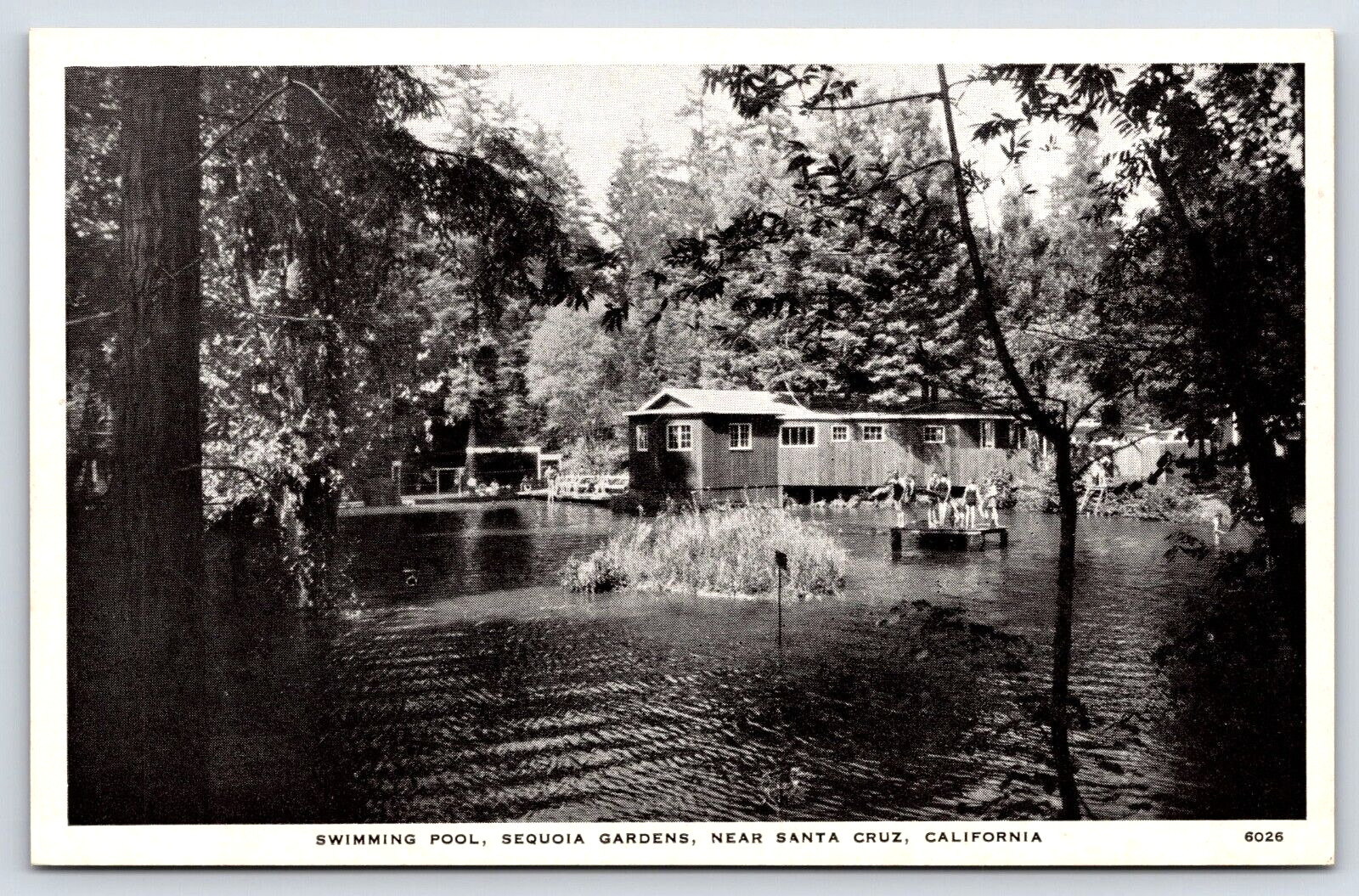 Old Vintage Antique Postcard Santa Cruz California Sequoia Gardens Swimming Pool