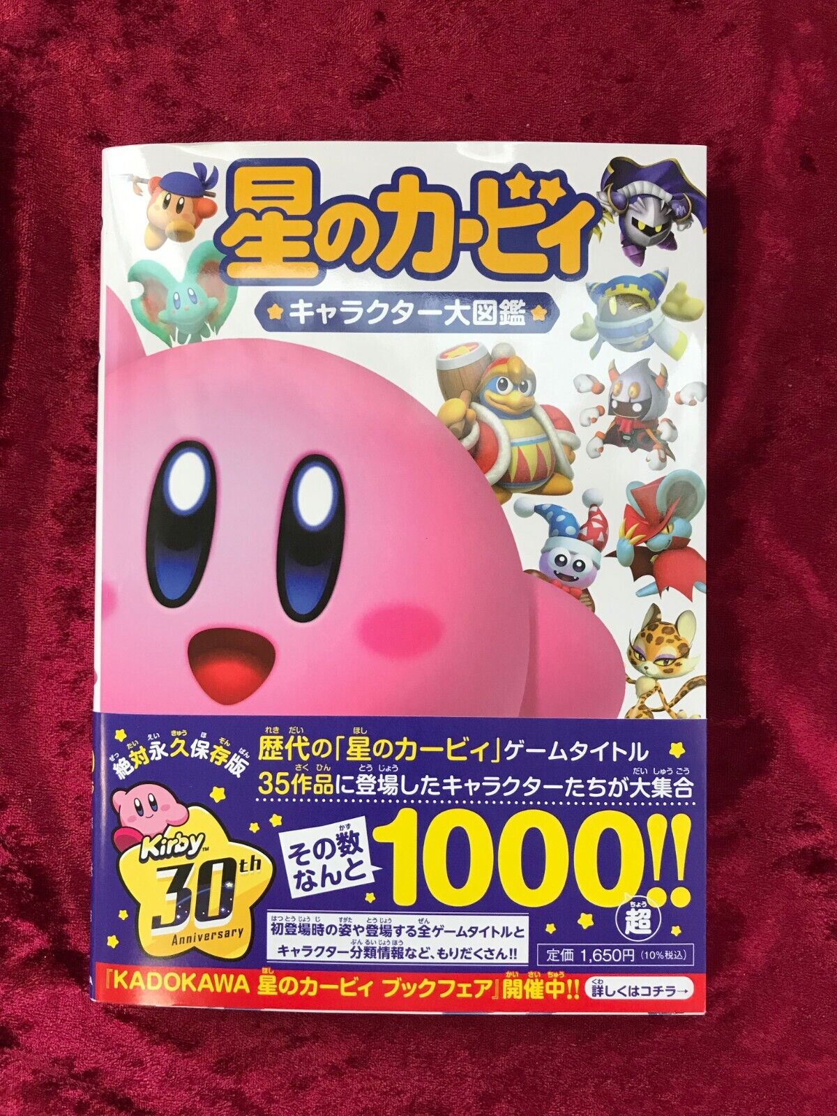Kirby Character Encyclopedia Game Book Japanese