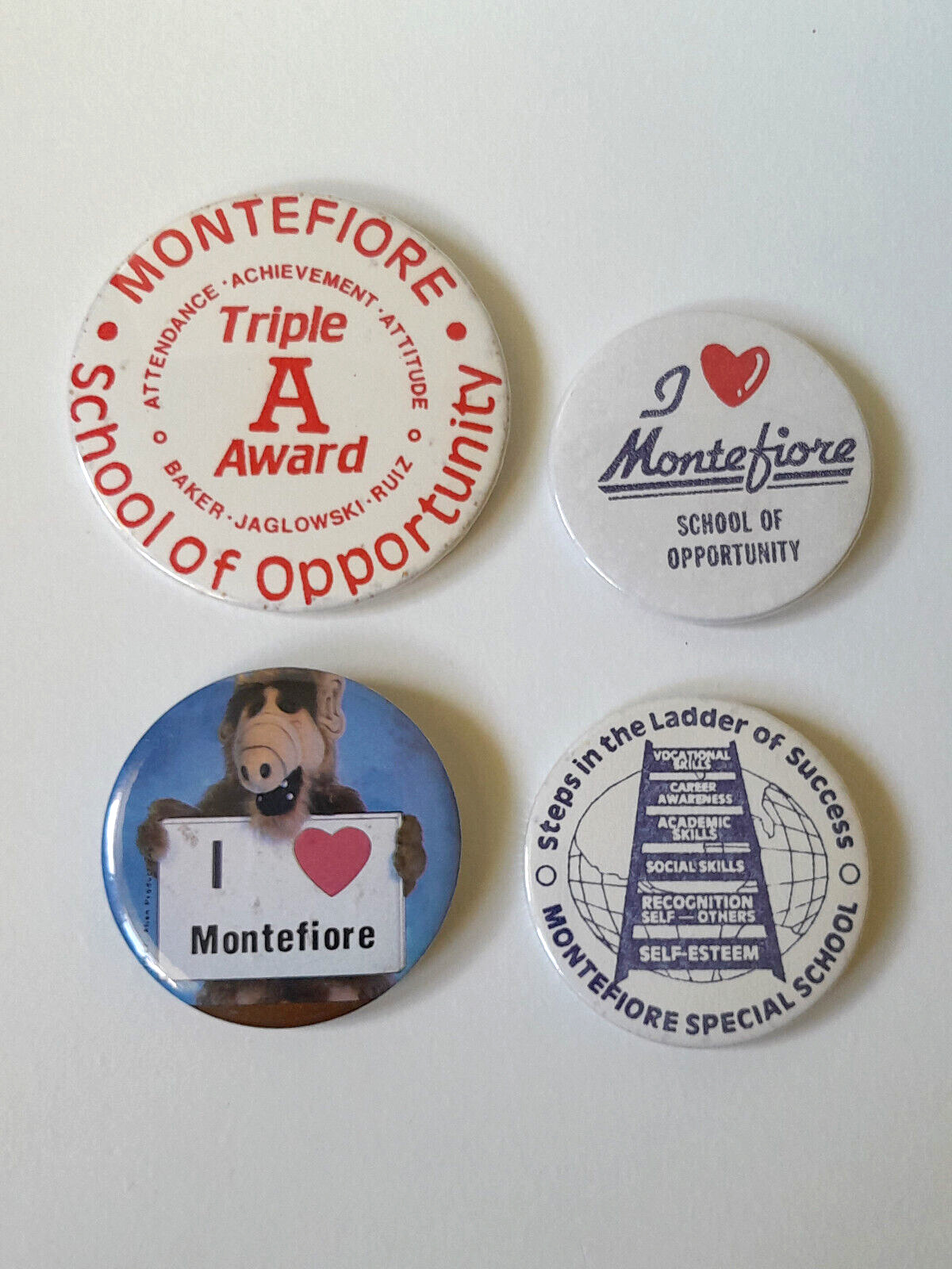 Vintage 1980s Montefiore Special School Chicago ALF Pinback Buttons Pins
