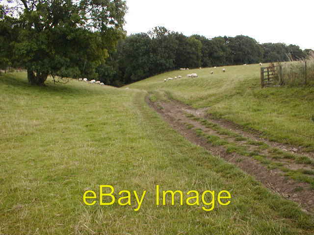 Photo 6x4 Dry Valley Leading into Ash Dale Carlton\\/SE6086 The Public Foo c2005