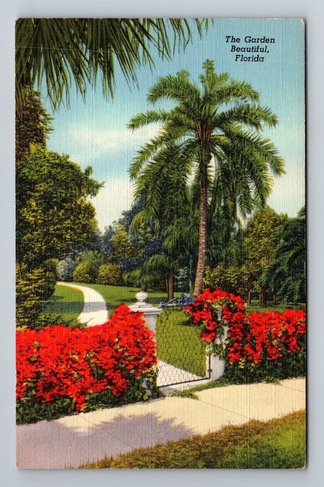 The Garden Beautiful In Florida Vintage Souvenir Postcard