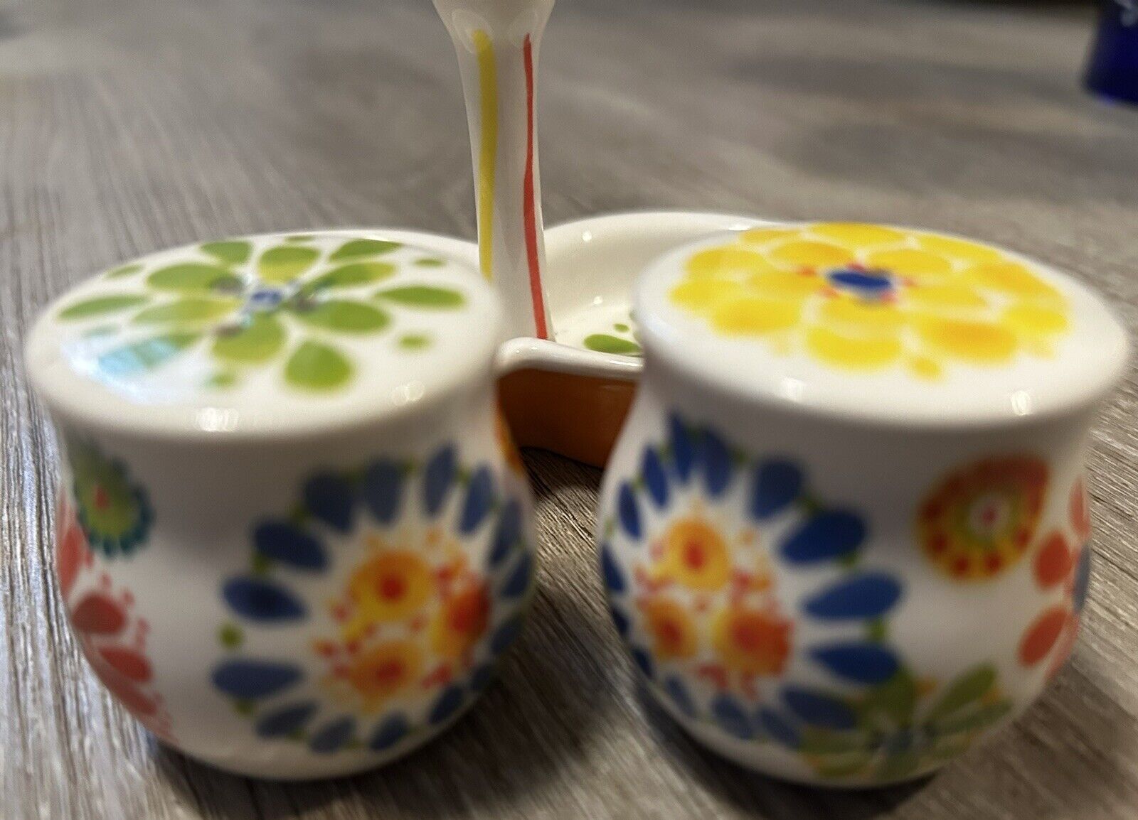 ANTHROPOLOGIE BISCUIT SALT AND PEPPER SHAKERS FLORAL ON BASE ADORABLE EUC