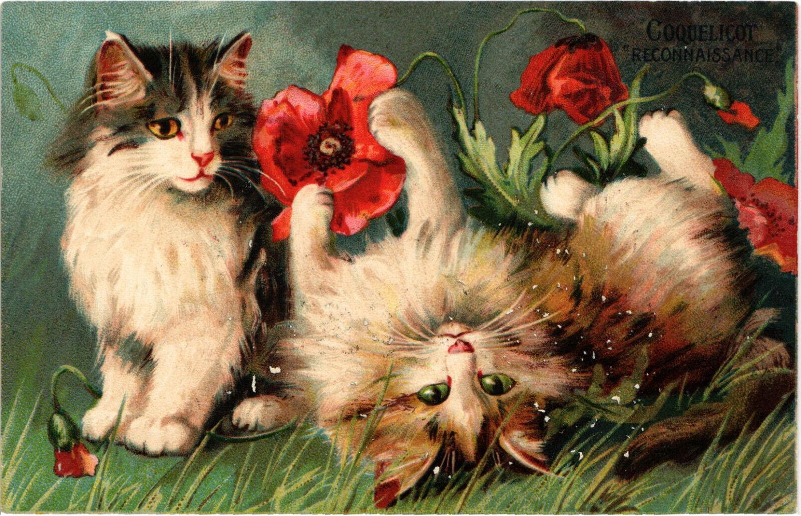 PC CATS, ARTIST SIGNED, BOULANGER, RECONAISSANCE, Vintage Postcard (b47416)