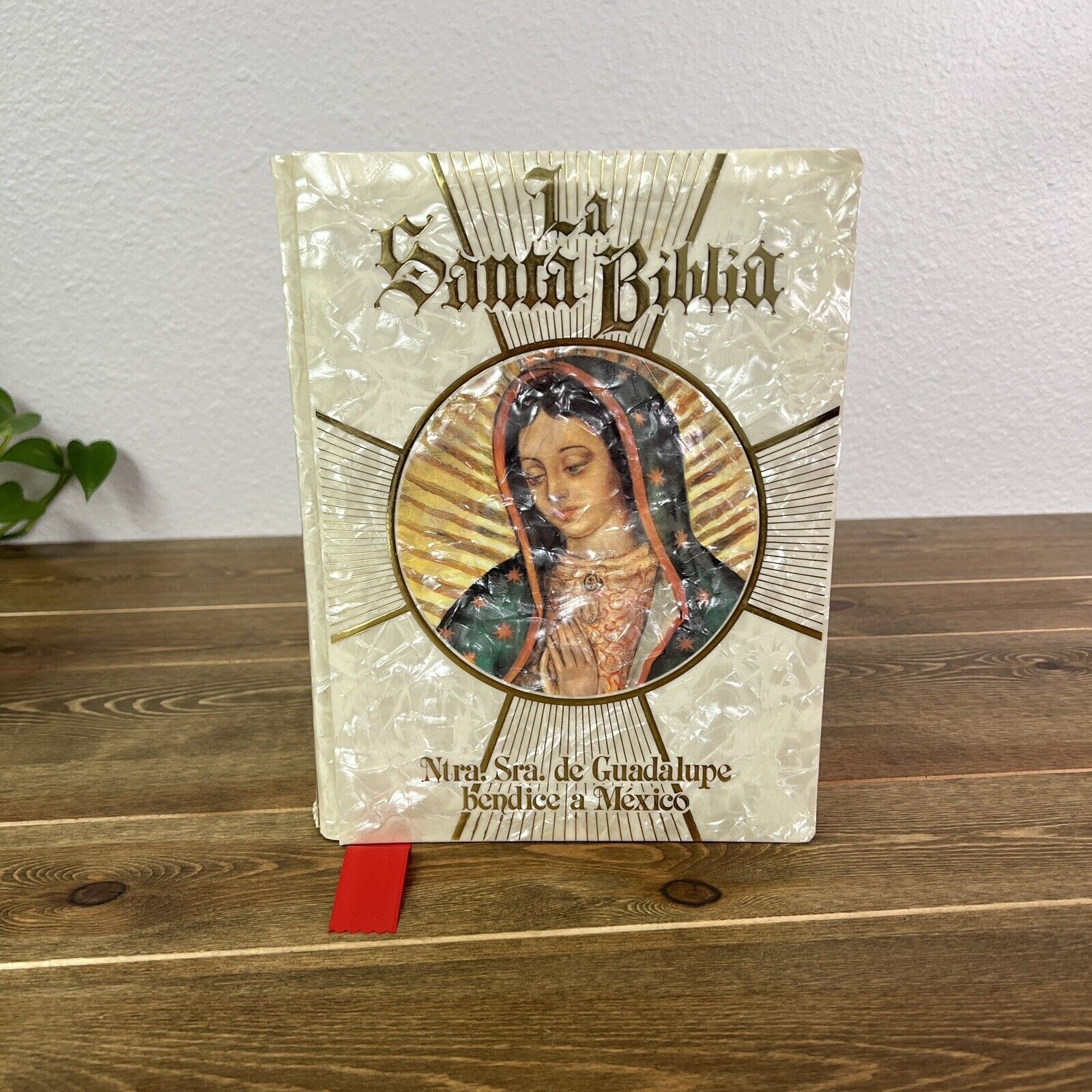 Vintage Rare La Santa Biblia de Familia Guadalupe Perla Alfredo Ortells Spain