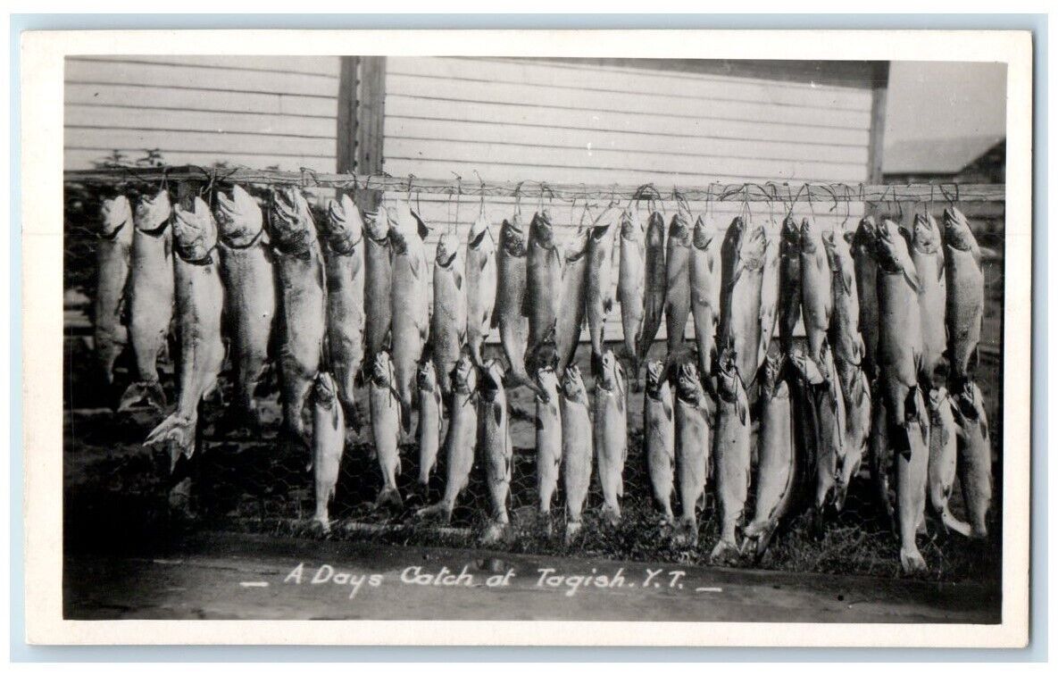 c1920\'s A Day\'s Fish Catch At Tagish Yukon Territory Canada RPPC Photo Postcard