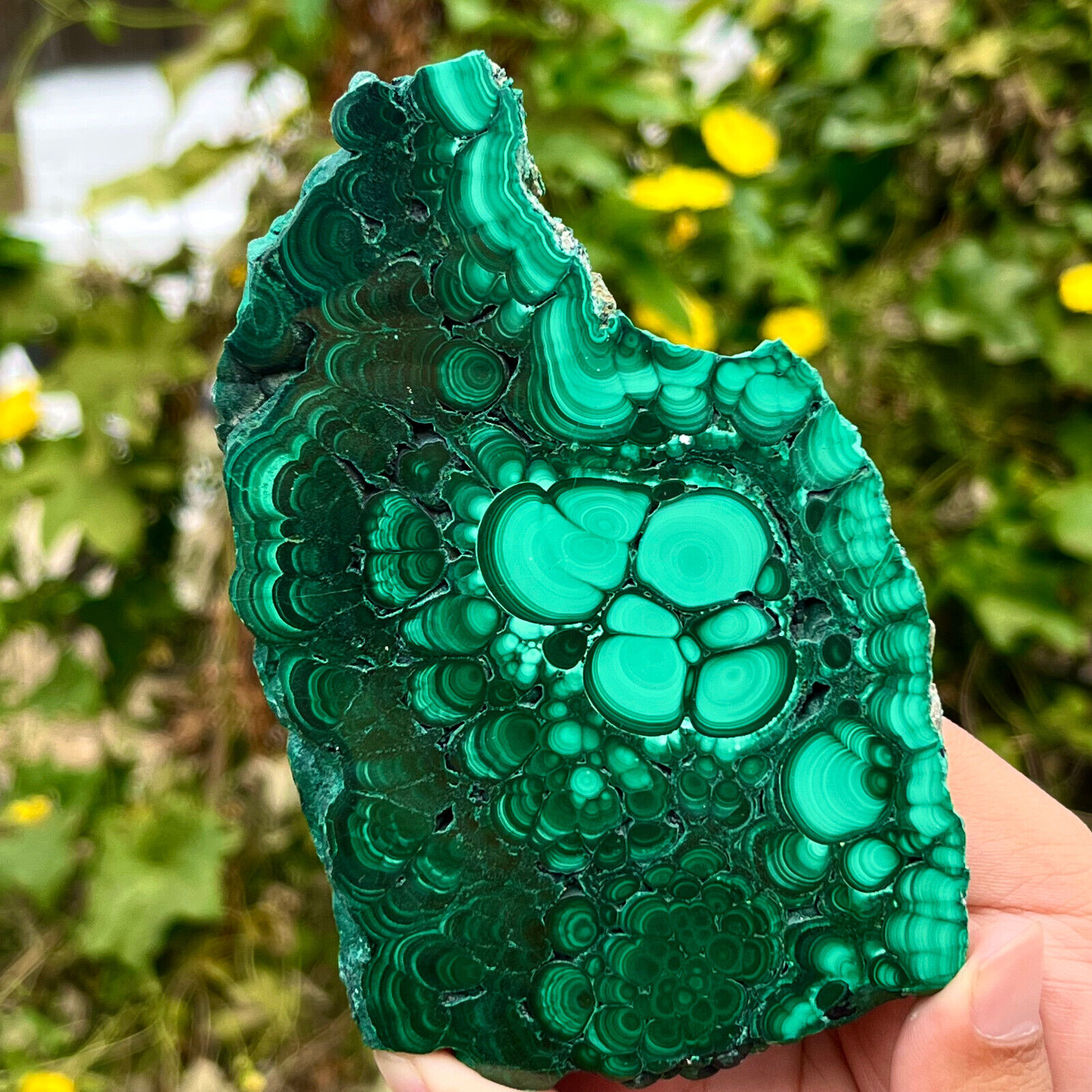 411G Natural Beauty Shiny Green BrightMalachite Fibre Crystal From China