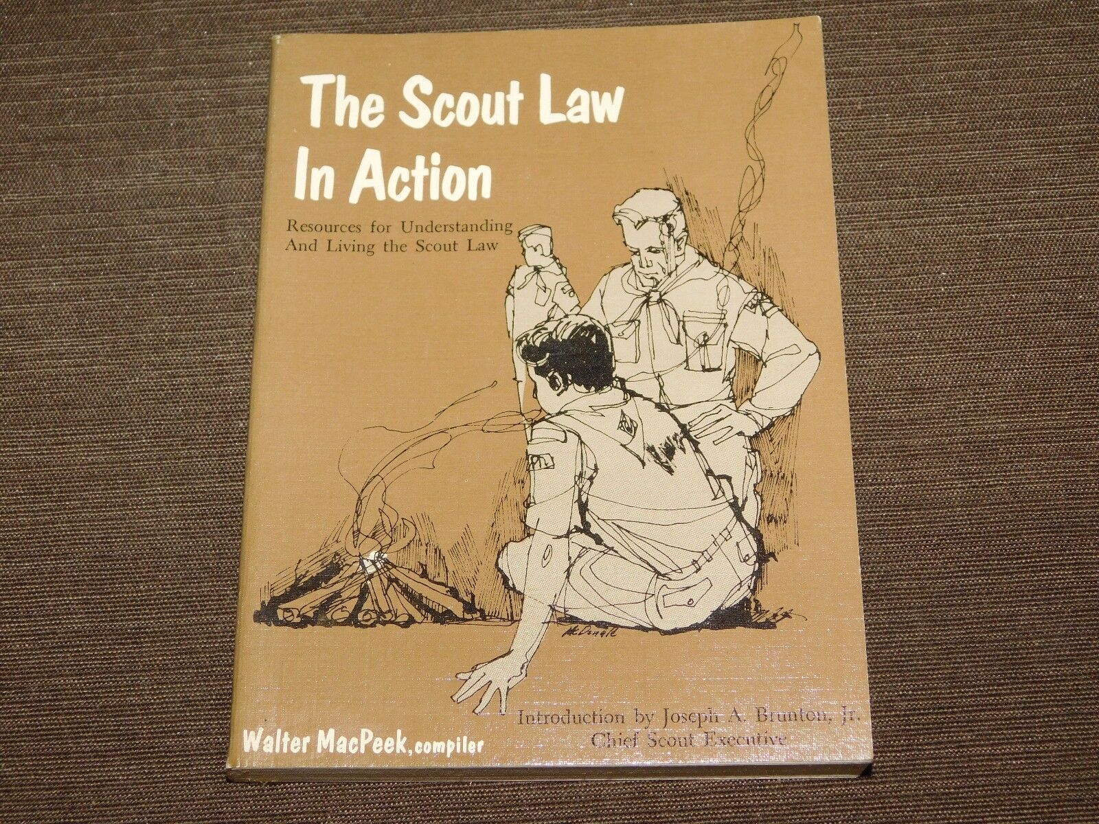 VINTAGE BSA BOY SCOUTS OF AMERICA 1966 SCOUT LAW IN ACTION BOOK