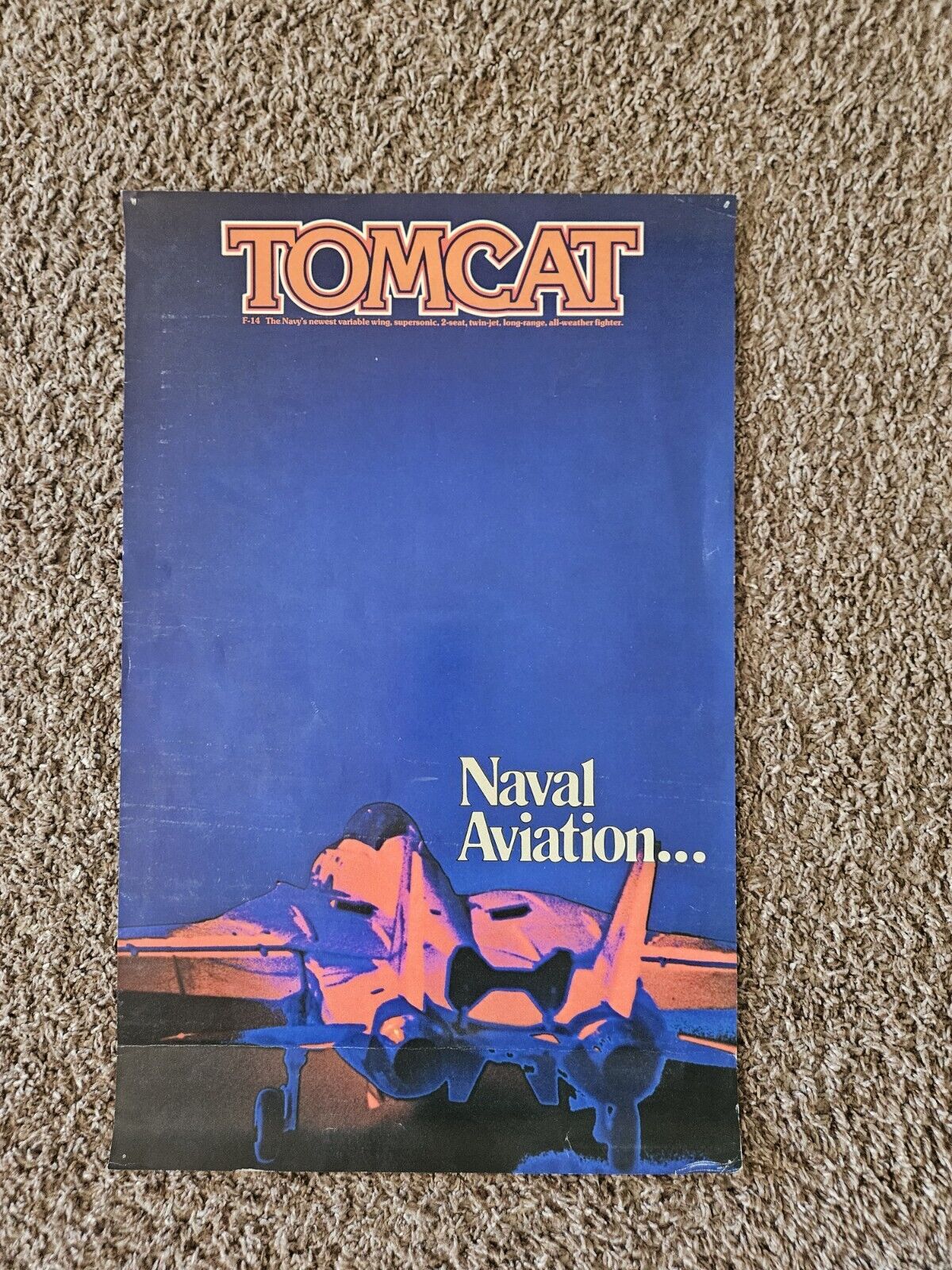 Vintage Tomcat Naval Aviation Poster