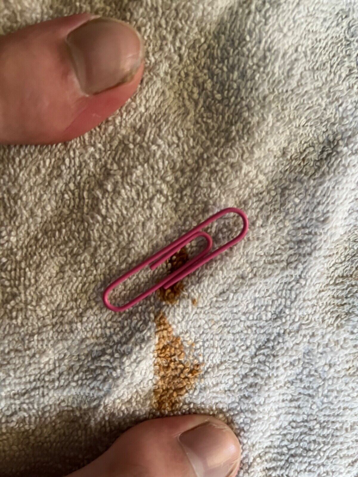 pink paper clip genuine real balenciaga gucci