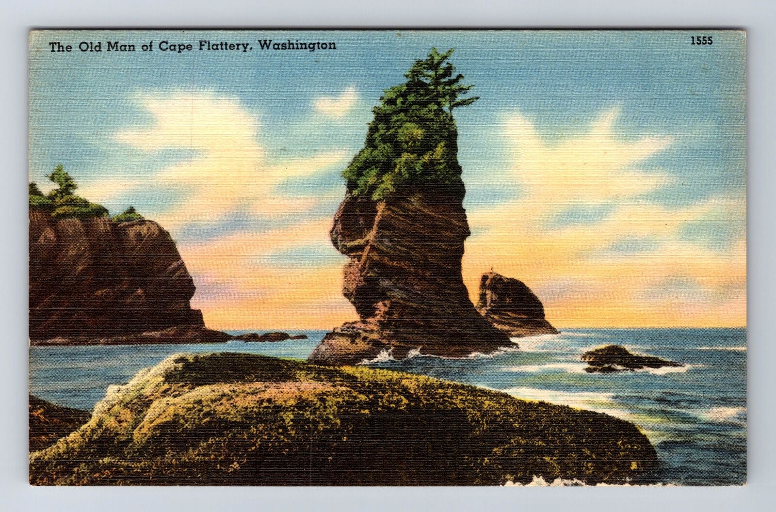 Cape Flattery WA-Washington, The Old Man, Antique, Vintage Postcard