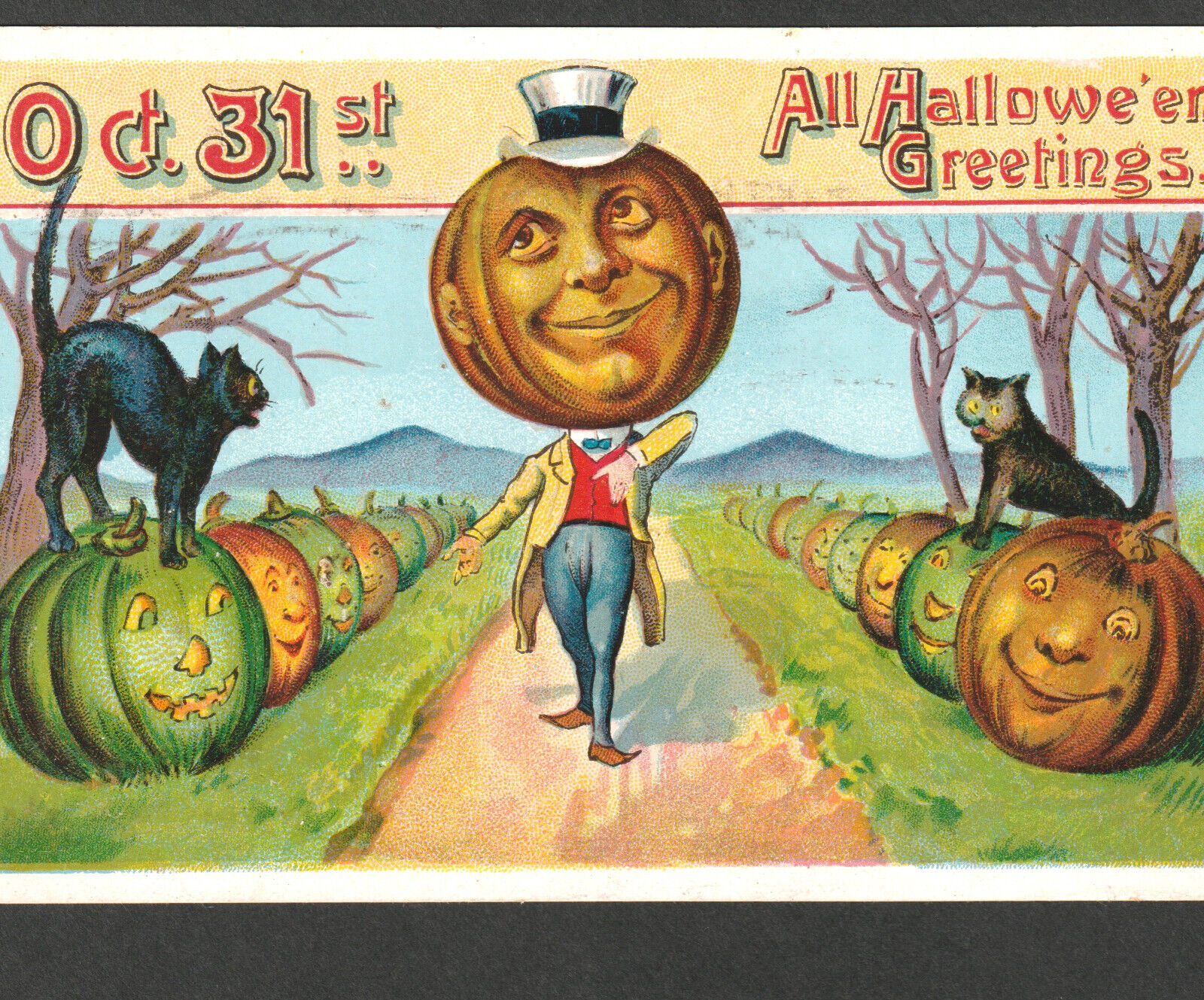 SCARCE Halloween 1909 Oct 31 Gottschalk? 914 Saxony Pumpkin Goblin Cat PostCard