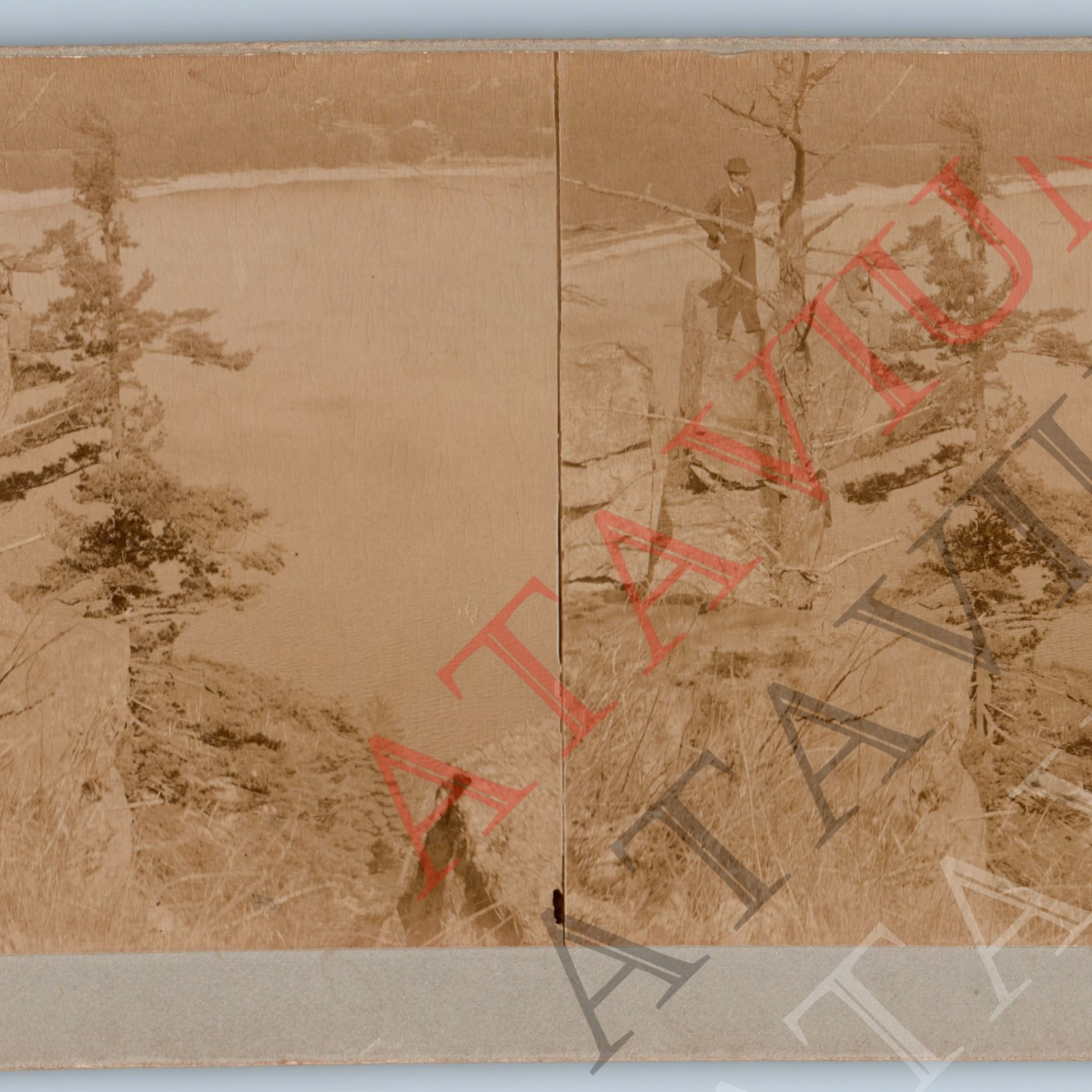 c1880s Baraboo, WI Men Climb Tree Devil\'s Lake Photo Stereoview McCollister V42