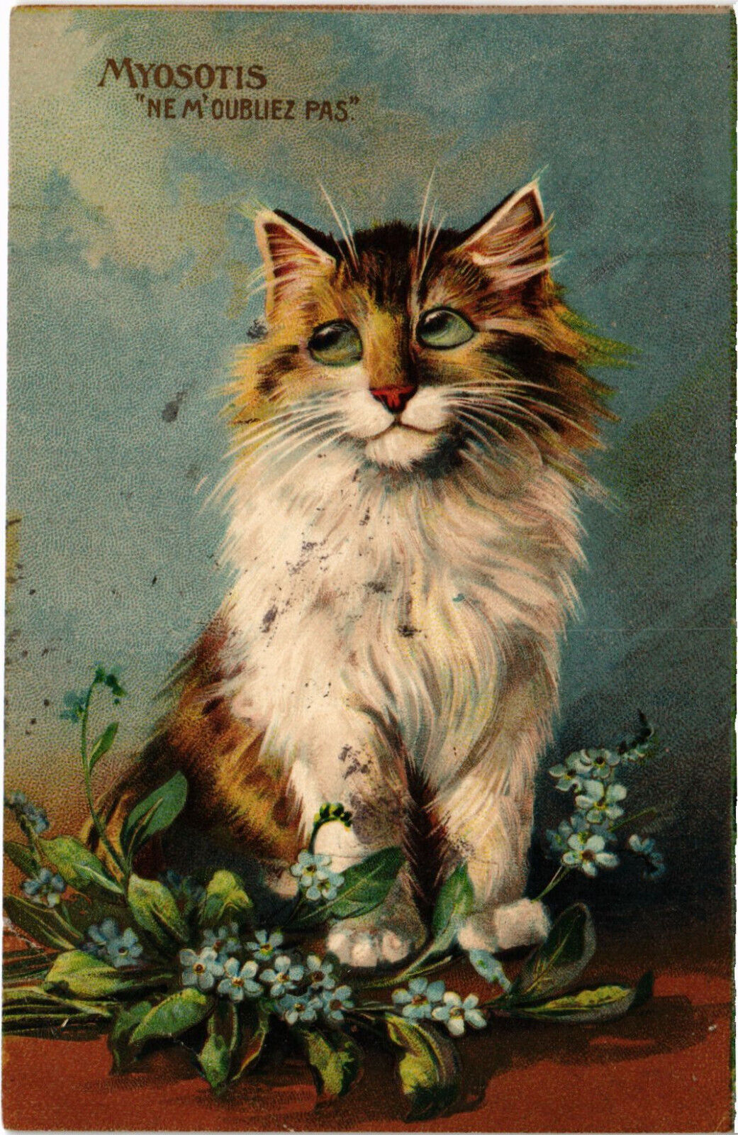 PC CATS, ARTIST SIGNED, BAKER, MYOSOTIS, Vintage Postcard (b47462)