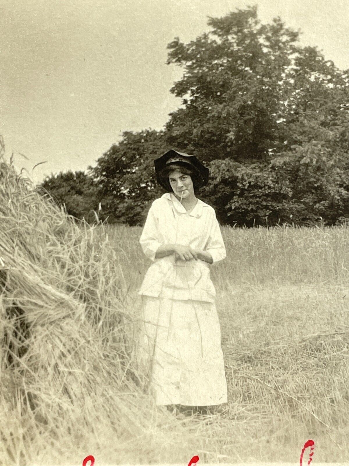 O8 Photograph Maude On A Summer Day Sweet Simple Beautiful Hay Straw Woman