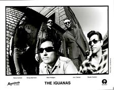 LG957 Original Jay Blakesberg Photo THE IGUANAS New Orleans Roots Rock Band picture