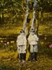 Antique 1915 Litho Ephemera Postcard Scene On Pine Lake With Twins Boys Fishing picture