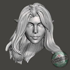 Female Elf long hair Fantasy D&D custom head for 4