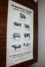 RARE new old stock orig 1939  Large USDA Steer slaughter grade poster chart sign picture