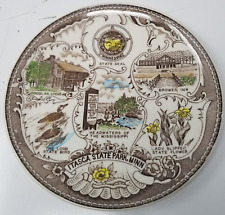 Itasca State Park Minnesota Souvenir Plate Brower Inn Lady Slipper Douglas Lodge picture