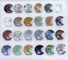 Mixed Gemstone Crescent Moon Collection ( 24 Pcs ) Bulk Wholesale Assorted Flat picture