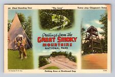 Smoky Mountain National Park, Points of Interest, Series #249, Vintage Postcard picture