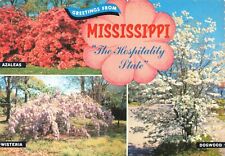 Postcard MS Flowers Azaleas Wisteria Dogwood Tree 