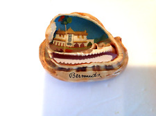 Vintage Conch Shell Handpainted Folk Art Bermuda picture