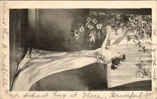 Vintage Postcard- A woman reaching for white flowers Early 1900s picture