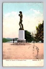 Buffalo NY- New York, Statue Of David In Delaware Park, Vintage c1909 Postcard picture