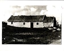 LD245 1983 Original Photo OLD IRISH FARMSTEAD Stone Walls Thatched Roof Ireland picture
