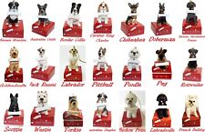 🐕 21 Breeds To Choose From- My Best Buddy Dog w/ Bone Figurine/Ornament-NEW 🐕 picture