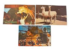 Lot of 3 Vintage Benson Wild Animal Farm Park Postcard Hudson NH picture