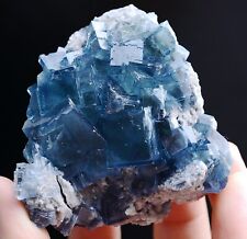 185g Natural Transparent Window Blue Cube Fluorite CLUSTER Mineral Specimen picture