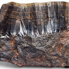 Botryoidal Hematite, Radial Fibrous Crystal Habit, Kidney Ore, Banded Iron, 585g picture