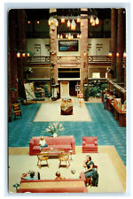 Postcard Immense Douglas Firs in Glacier Park Lodge in Montana MT C16 picture