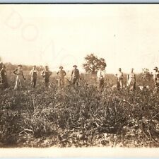 c1910s Men Women Farmers Harvest RPPC Real Photo Tomato Fruit Farm Workers A72 picture