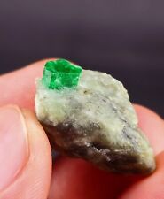  Emerald Crystal Specimen Well Terminated 100% Perfect 47-CT@Swat Mine,Pakistan picture