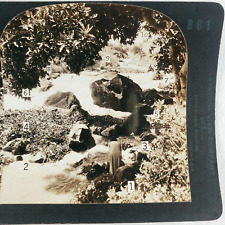 Rocky River Woman Stereoview 1930s Keystone Depth Perception Eye Comfort D1304 picture