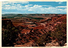 Green River Island in the Sky Canyonlands National Park Utah Seaich Car postcard picture