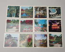 Vintage Cypress Gardens Photographs 3.5 x 3.5 Qty. 12 picture
