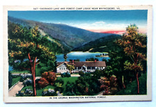 Sherando Lake and Forest Camp Lodge Waynesboro VA George Washington NF Postcard picture