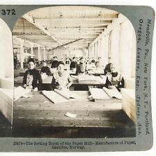 Skotfoss Bruk Paper Mill Stereoview c1906 Norway Women Factory Workers Card H764 picture